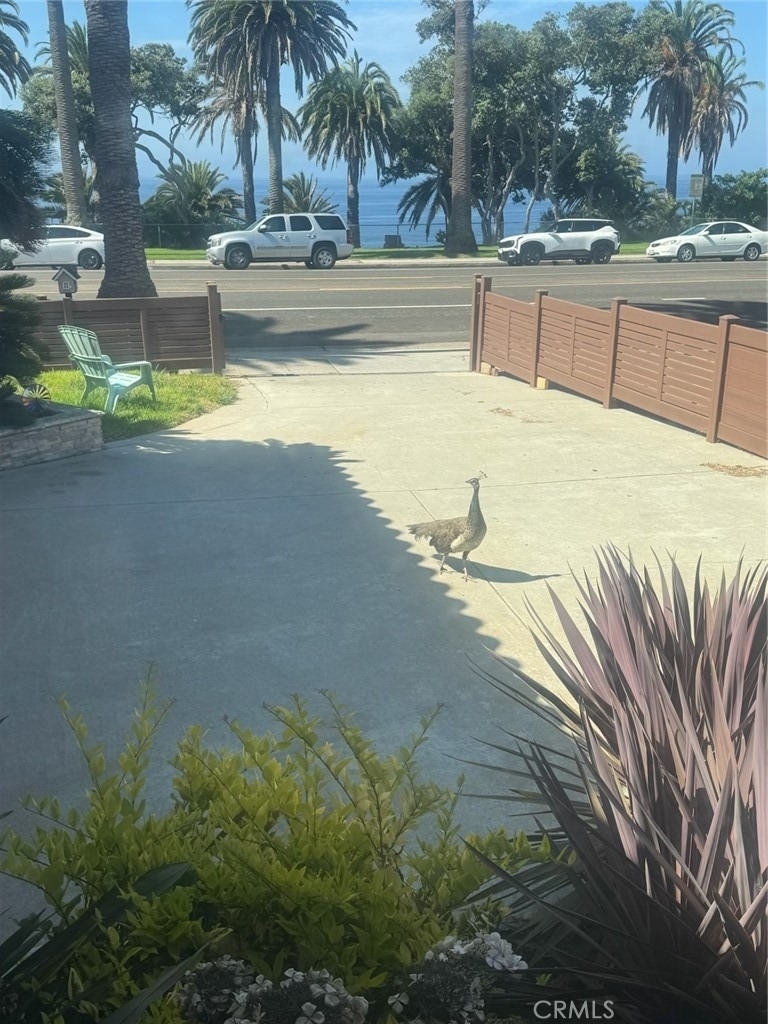1106 W Paseo Del Mar - Photo 27