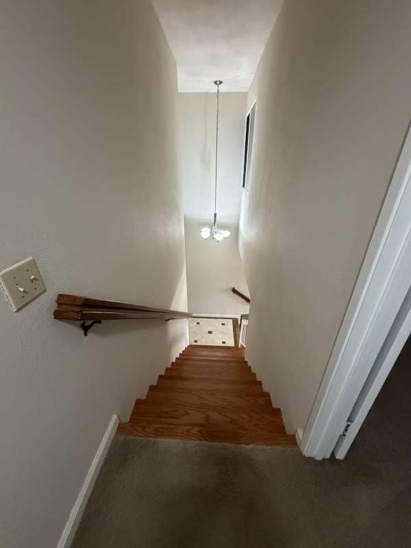 4709 Malero Place - Photo 15