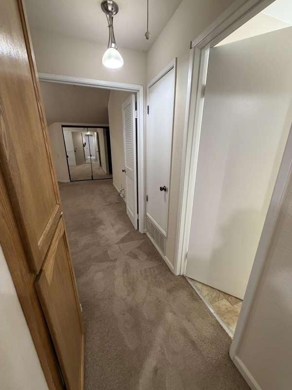 4709 Malero Place - Photo 17