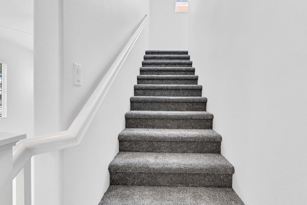 530 Calle Vibrante - Photo 12