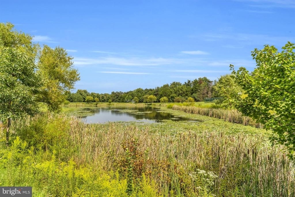 25241 Beach Place - Photo 45