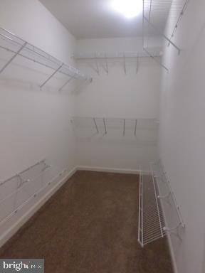 4712 Hanrahan Place - Photo 7