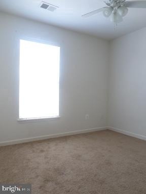 4712 Hanrahan Place - Photo 9