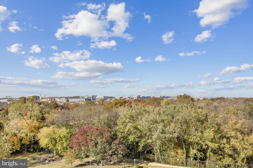 501 Slaters Lane - Photo 15