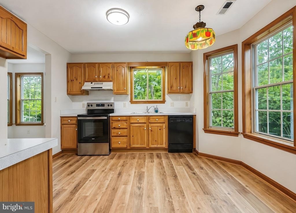 44334 Ivy Stone Lane - Photo 2