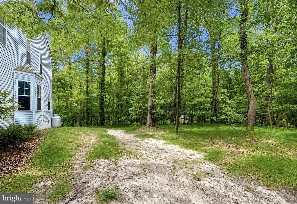 44334 Ivy Stone Lane - Photo 51