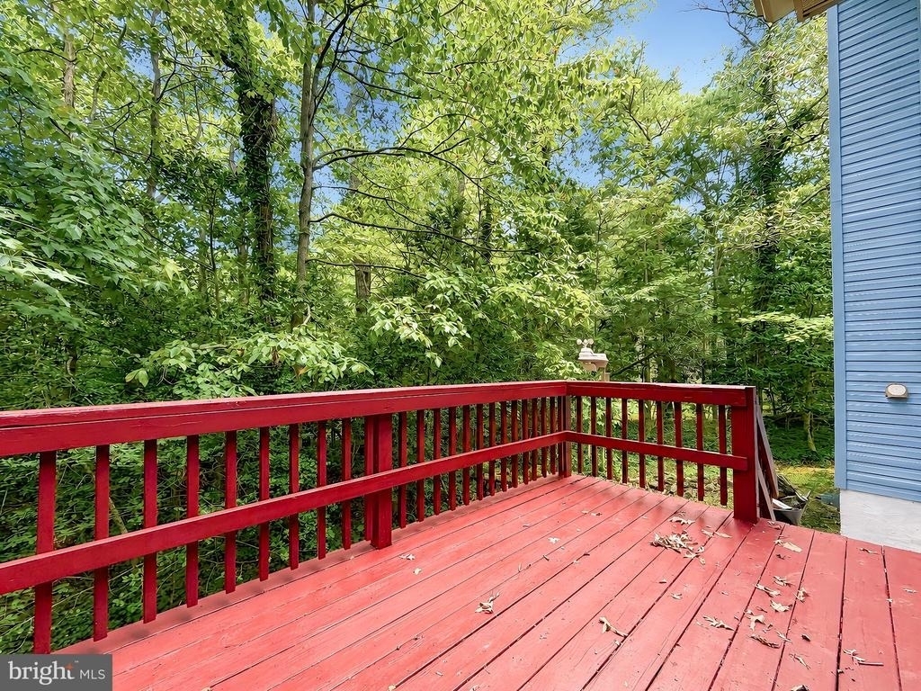 44334 Ivy Stone Lane - Photo 48