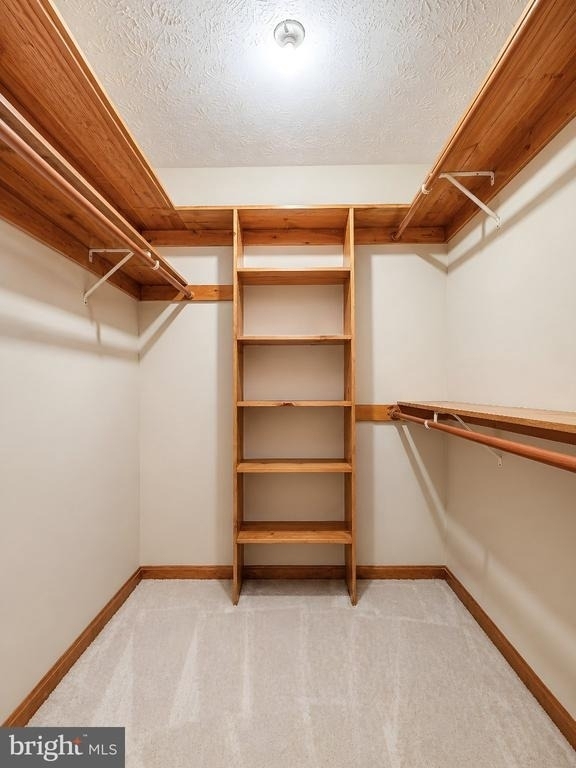 44334 Ivy Stone Lane - Photo 43