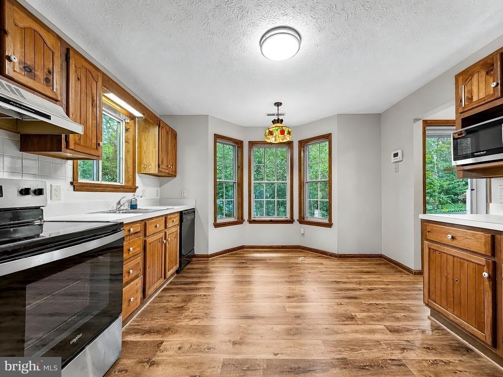 44334 Ivy Stone Lane - Photo 3