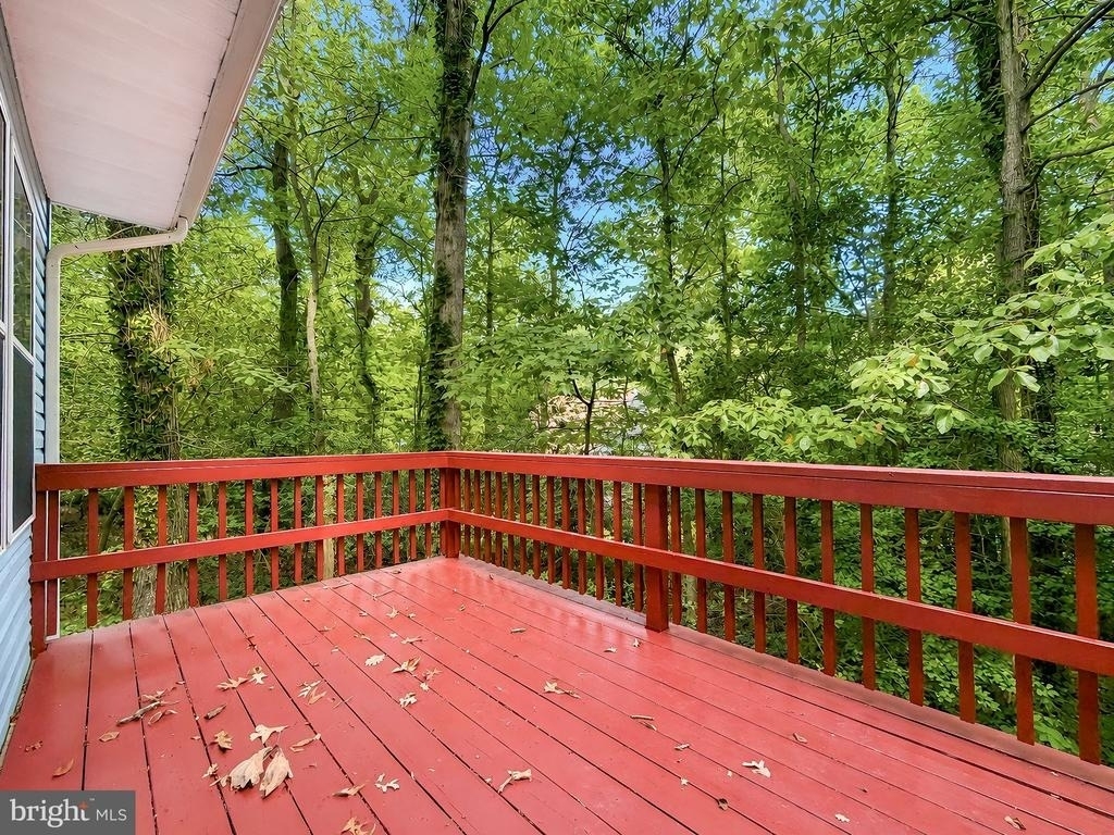44334 Ivy Stone Lane - Photo 47