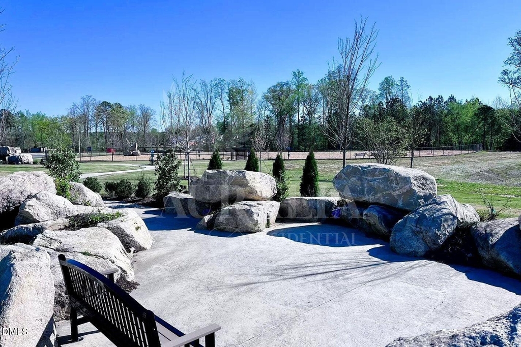 2336 Chert Lane - Photo 40