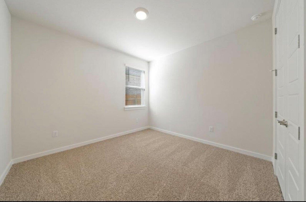 409 Deerpath St - Photo 15