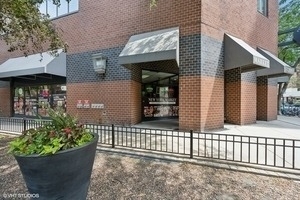 3660 N Lake Shore Drive - Photo 17