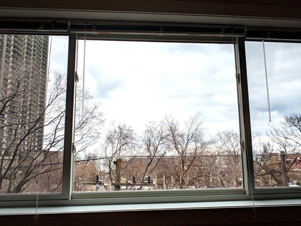 5953 N Kenmore Avenue - Photo 7
