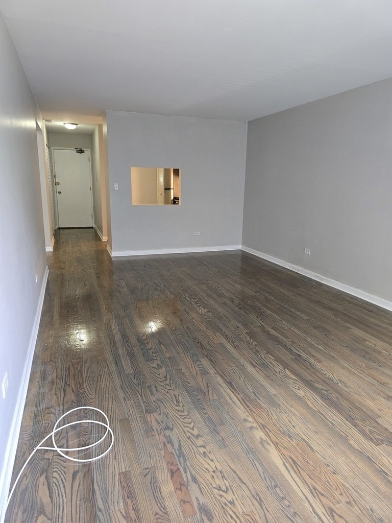 6619 N Sheridan Road - Photo 6
