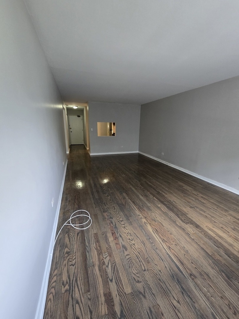 6619 N Sheridan Road - Photo 1