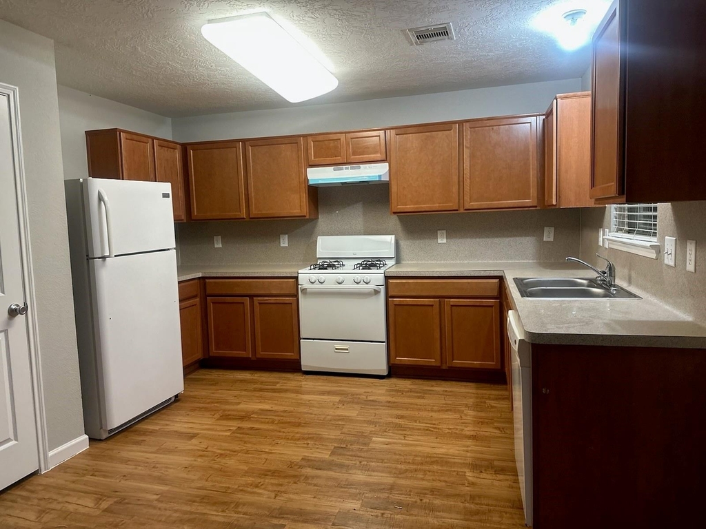 18214 Tupper Bend Lane - Photo 4