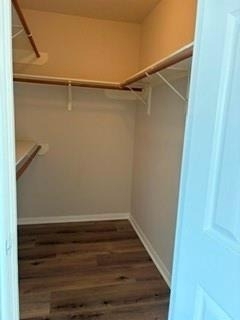 12823 Glorywhite Court - Photo 8