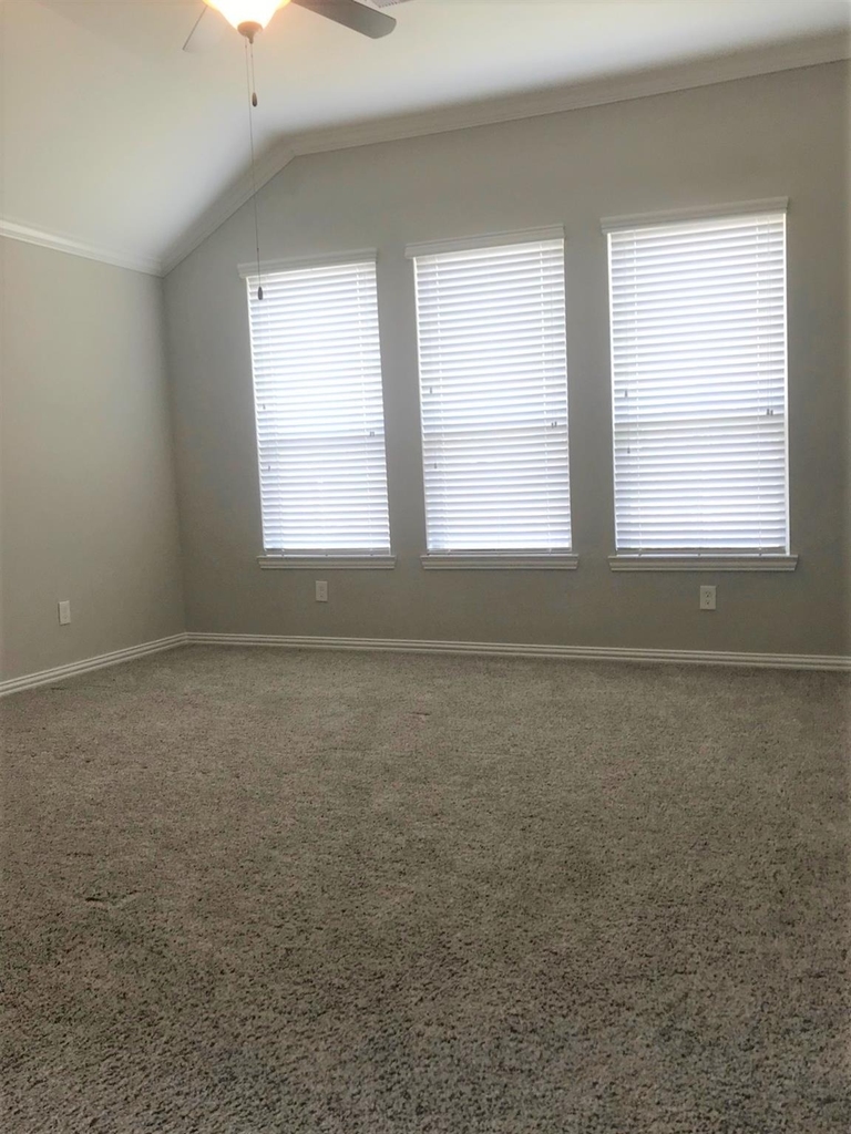 4731 Misty Ranch Drive - Photo 12