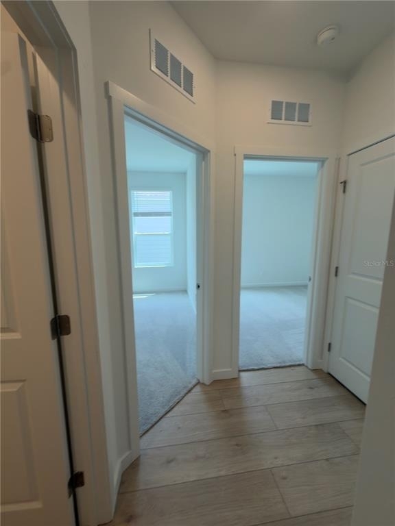 5556 Guava Court - Photo 10