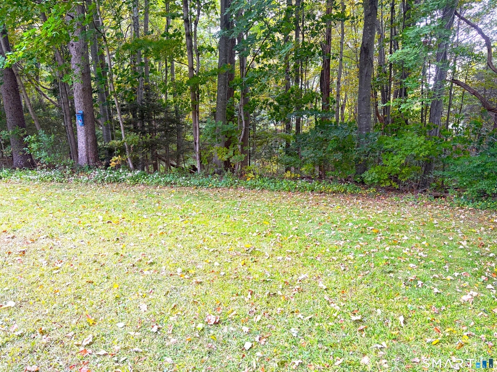 391 Main Street - Photo 4