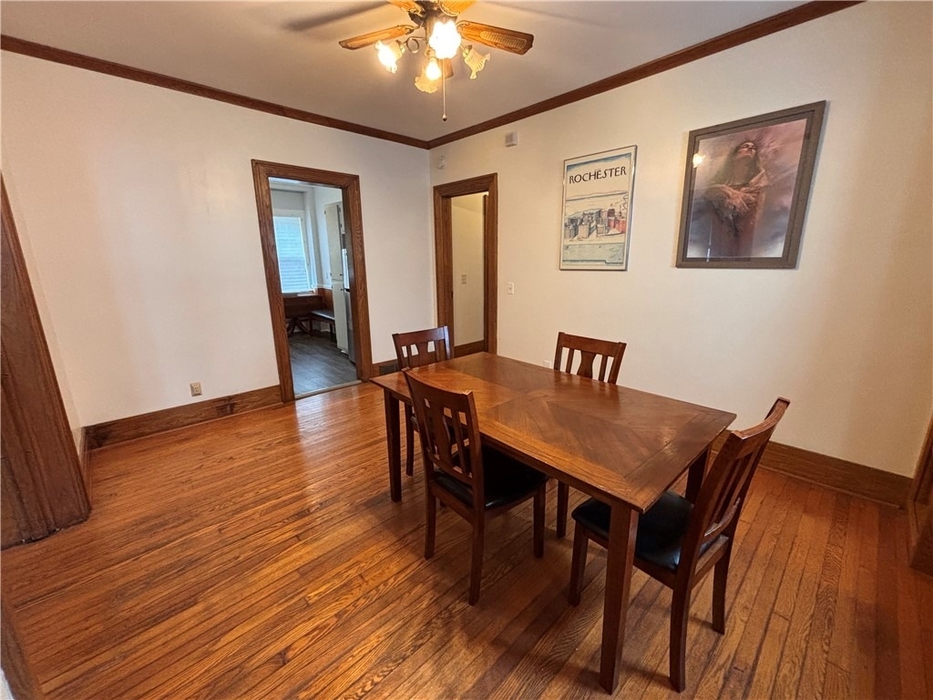 786 Genesee Park Boulevard - Photo 12