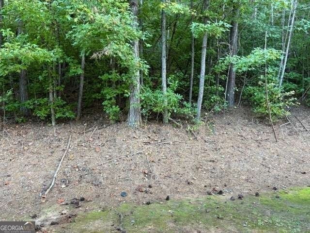226 Ridge Mill Drive - Photo 20