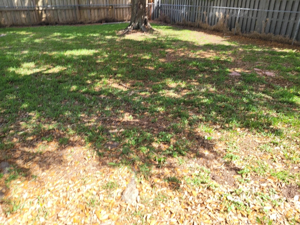 2911 Sw Lucerne Street - Photo 31