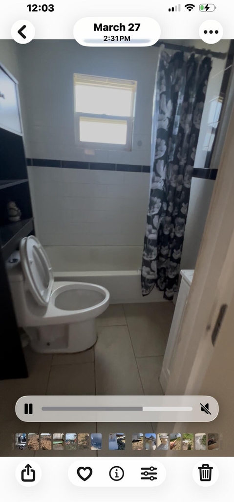 2409 Avenue M - Photo 5