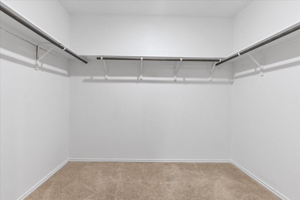 2918 Acacia Drive - Photo 8