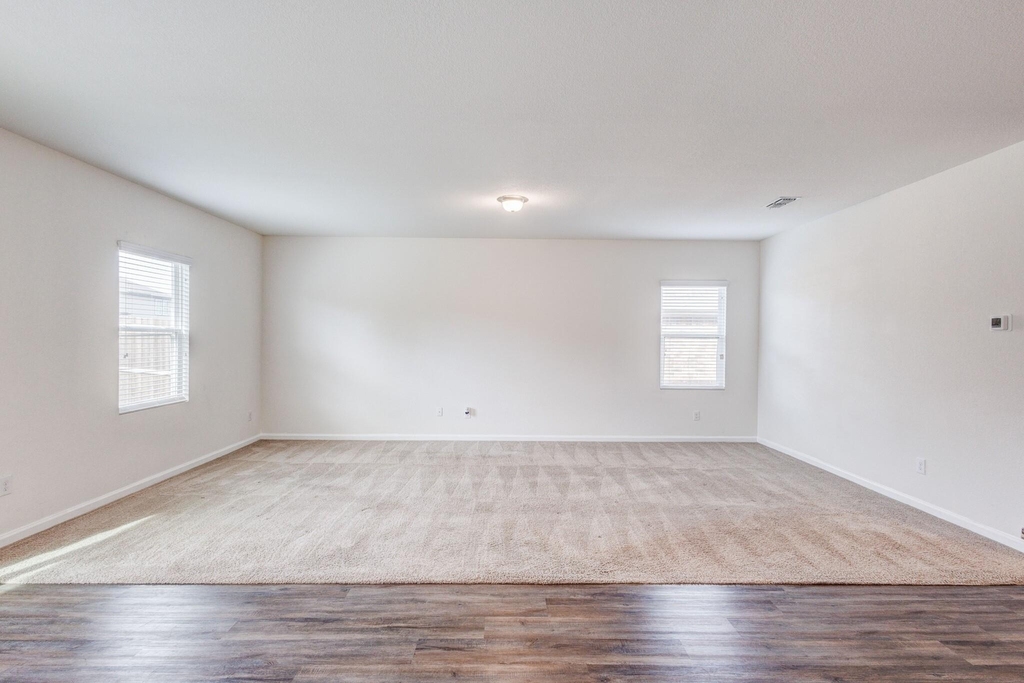 817 Cedar Elm Drive - Photo 13