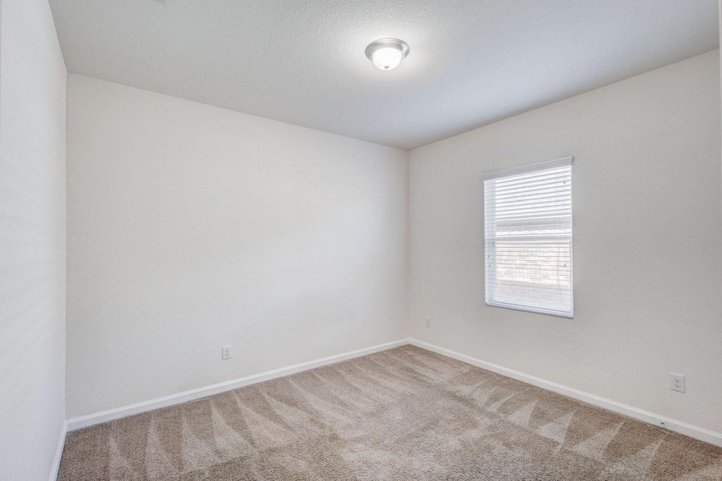 817 Cedar Elm Drive - Photo 16