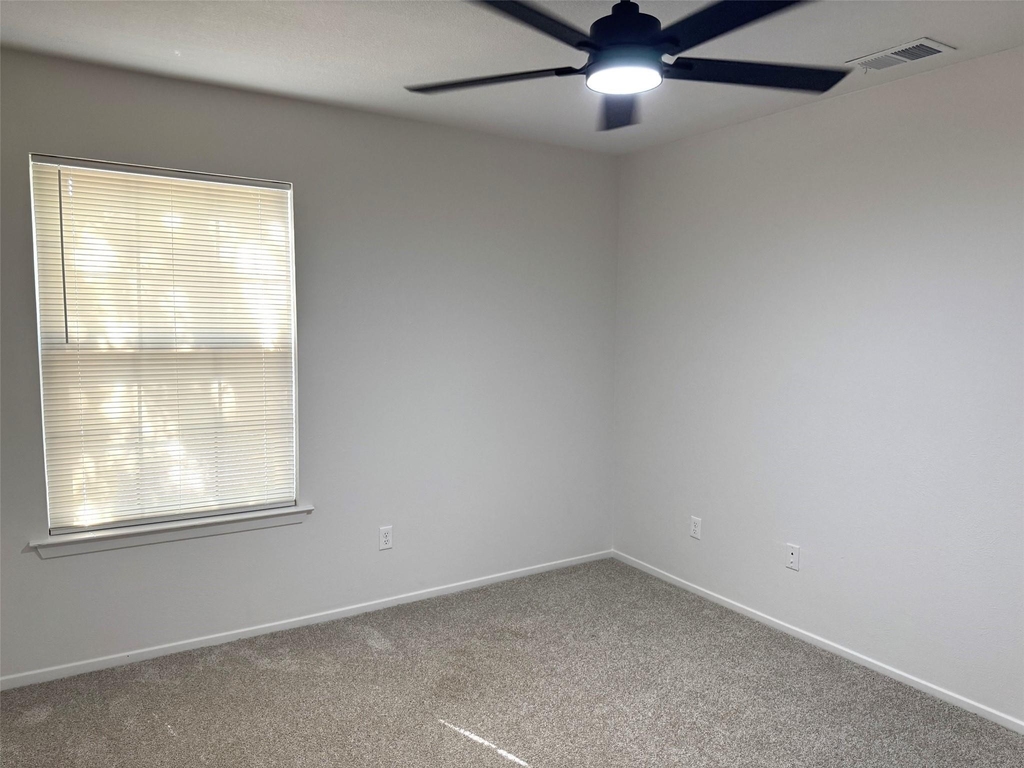 3731 Spring Meadow Lane - Photo 18