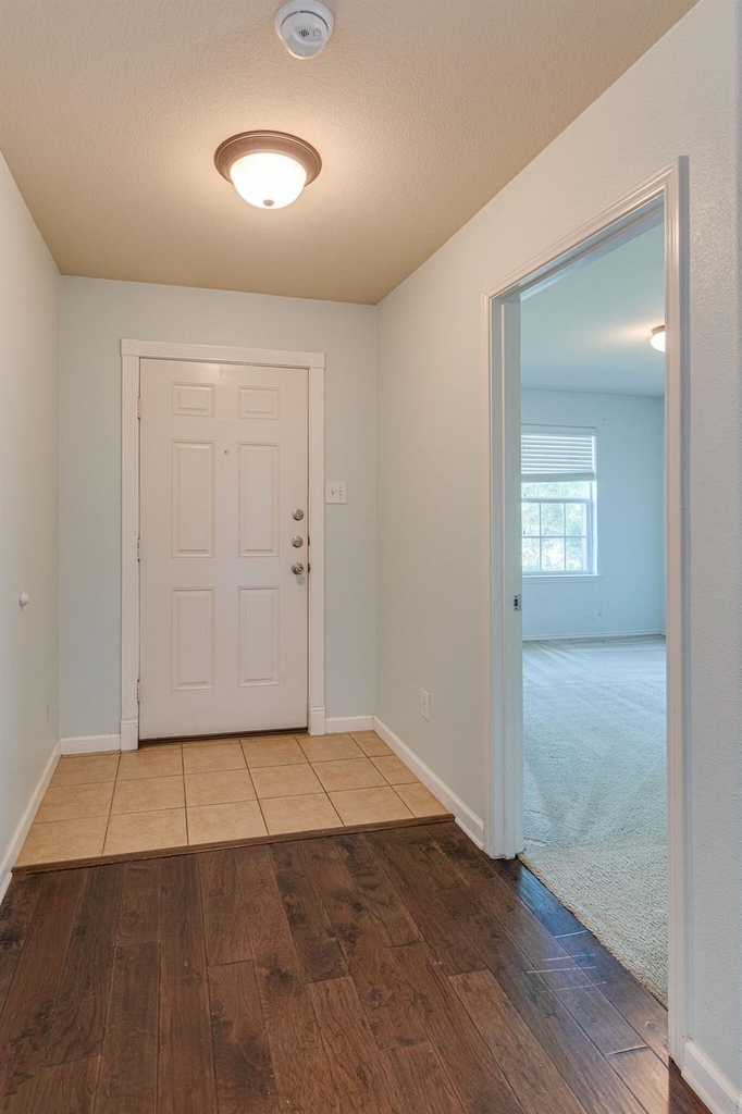 3240 Sadie Trail - Photo 4