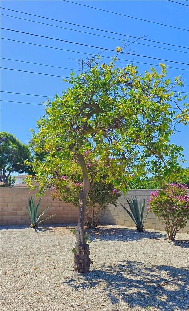 6001 Candlewood - Photo 29