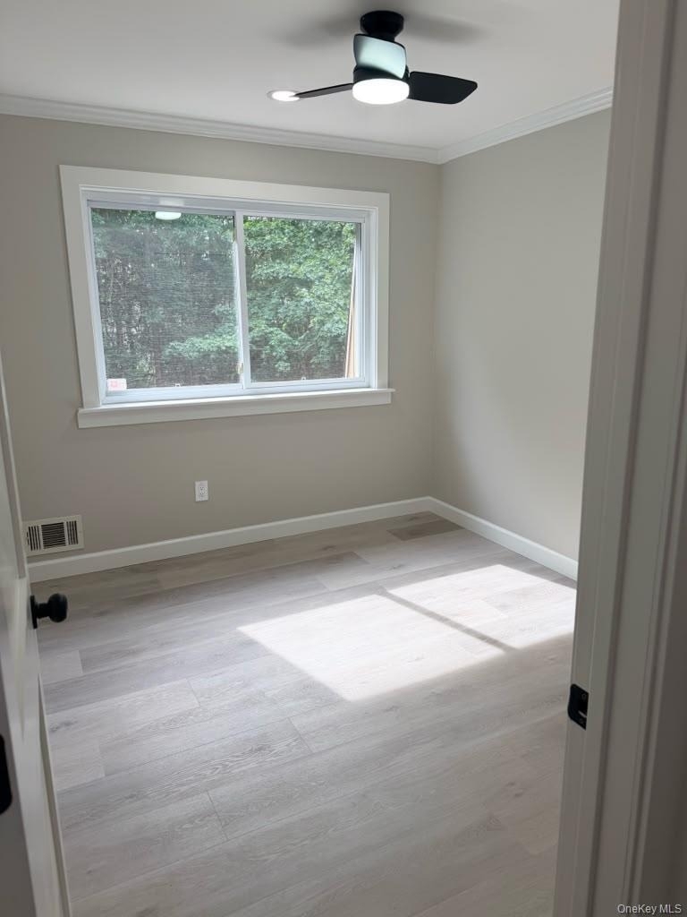 316 Feller Drive - Photo 13