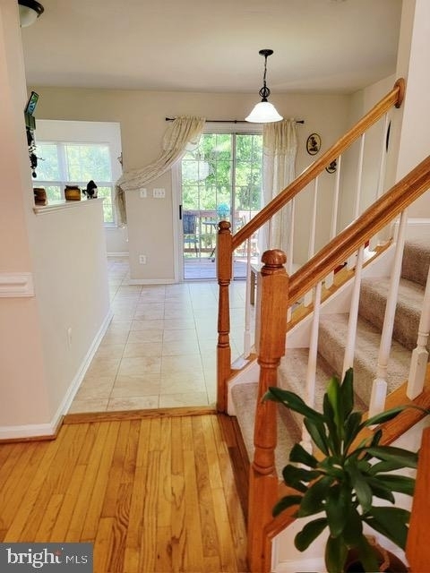 4093 Yellow Stone Loop - Photo 7