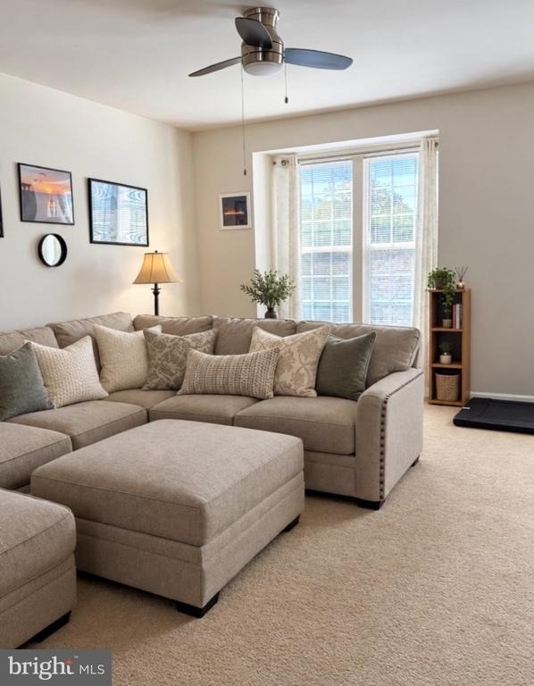 6972 Kona Drive - Photo 4