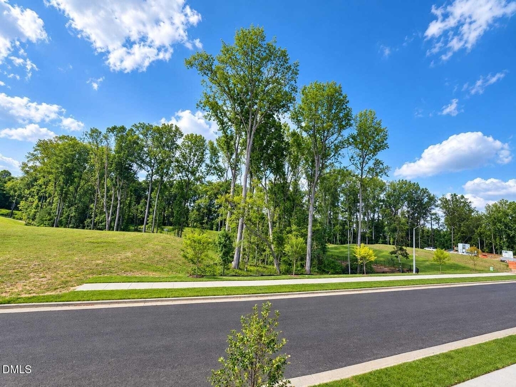 520 Everglow Lane - Photo 1