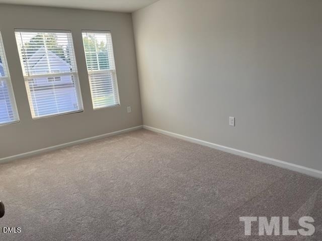 4913 Oolite Street - Photo 7