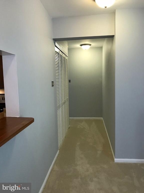 308 Ferris Lane - Photo 17