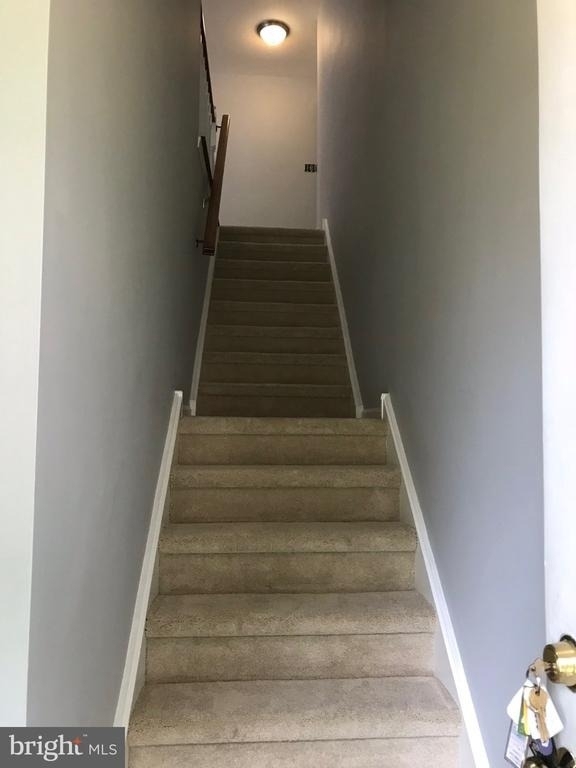 308 Ferris Lane - Photo 3