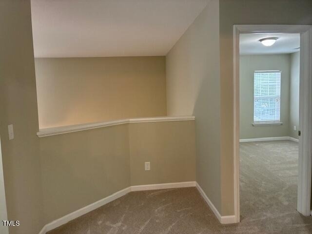 8211 Shadow Stone Court - Photo 16