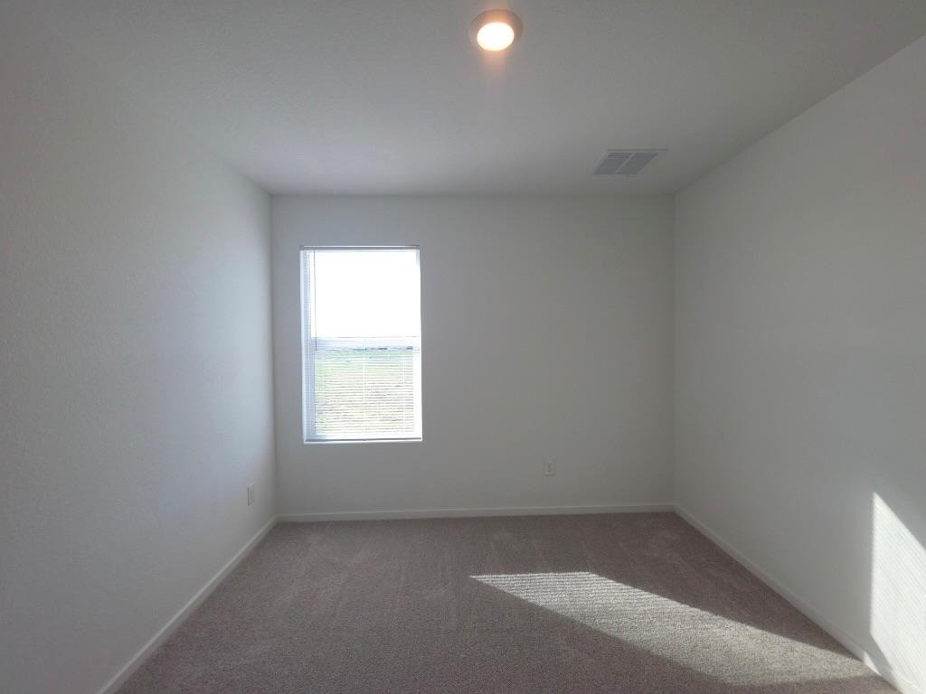 233 Streaking Star Dr - Photo 25