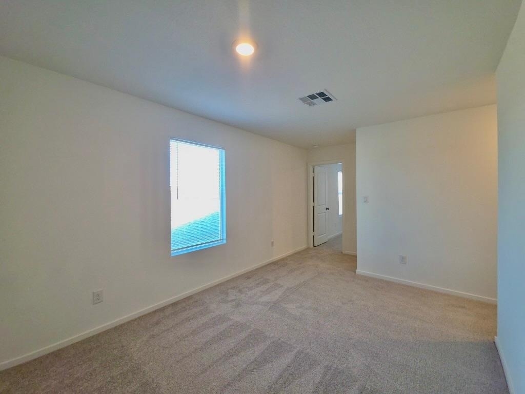 233 Streaking Star Dr - Photo 17