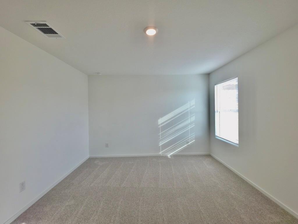 233 Streaking Star Dr - Photo 12
