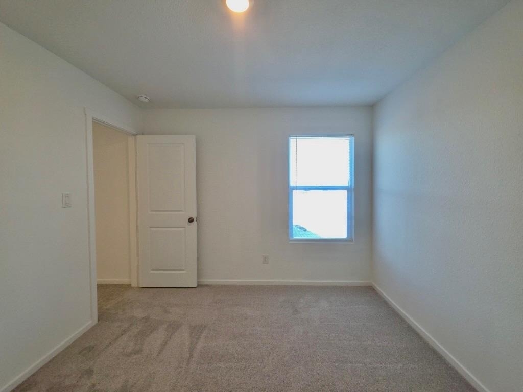 233 Streaking Star Dr - Photo 22
