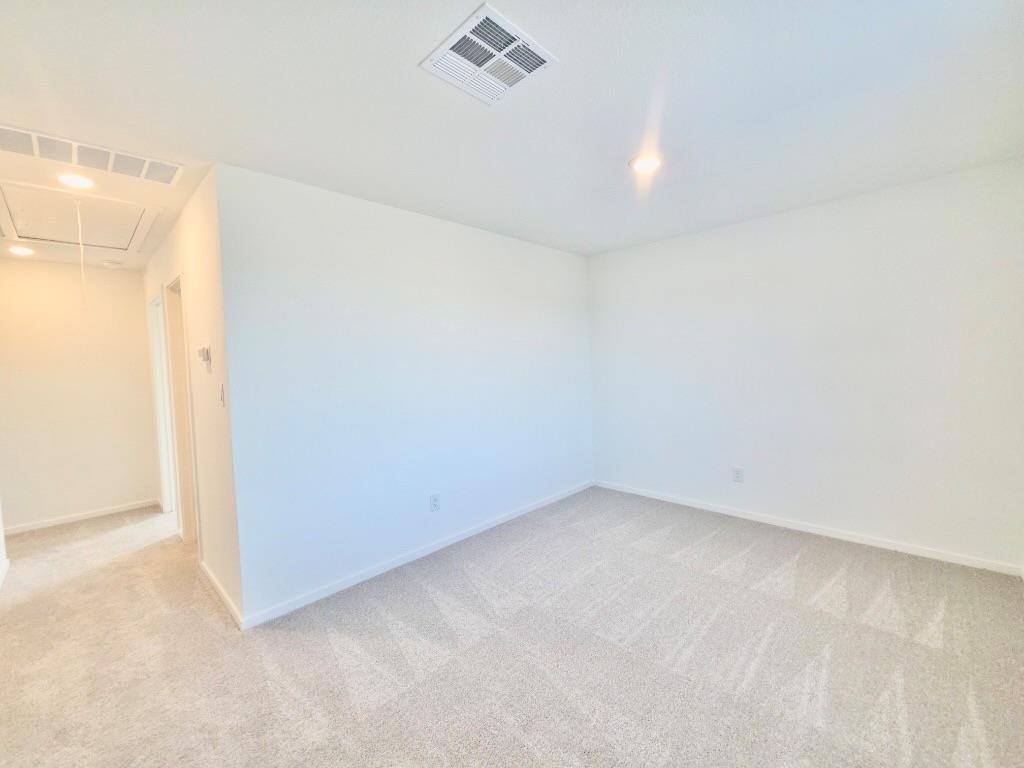 233 Streaking Star Dr - Photo 18