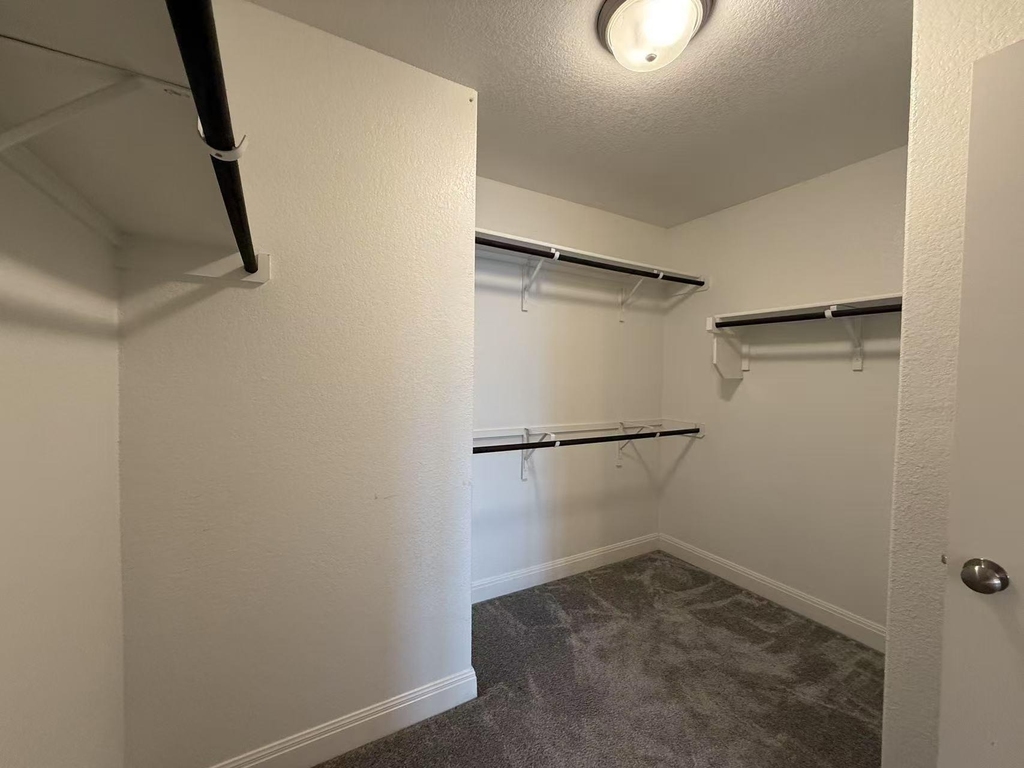 16103 Windroot St - Photo 23
