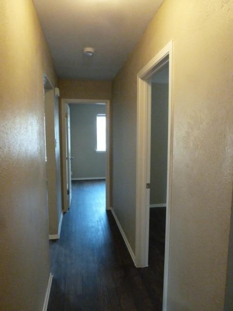 1508 Charolais Dr - Photo 9